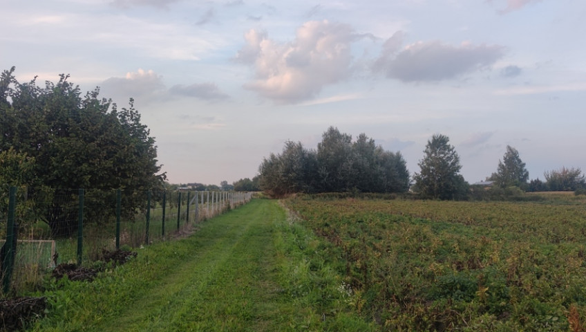 Działka Sprzedaż Topolin Bolesława Chrobrego
